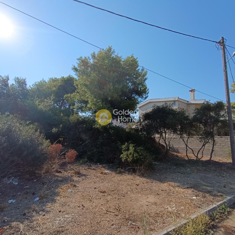 Οικόπεδο στην Πρωτέας, Ραφήνα — Φωτογραφία 1 από 3