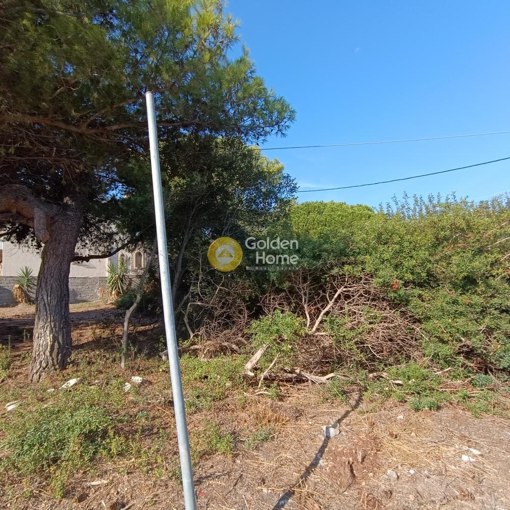 Οικόπεδο στην Πρωτέας, Ραφήνα — Φωτογραφία 2 από 3