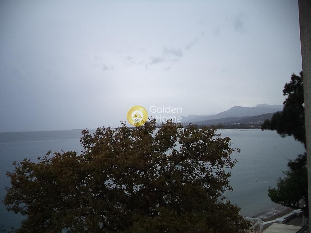 Ξενοδοχείο στην Λόγγος, Ερίνεο — Φωτογραφία 3 από 15