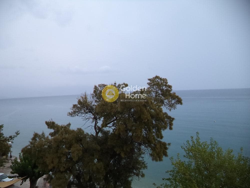 Ξενοδοχείο στην Λόγγος, Ερίνεο — Φωτογραφία 11 από 15
