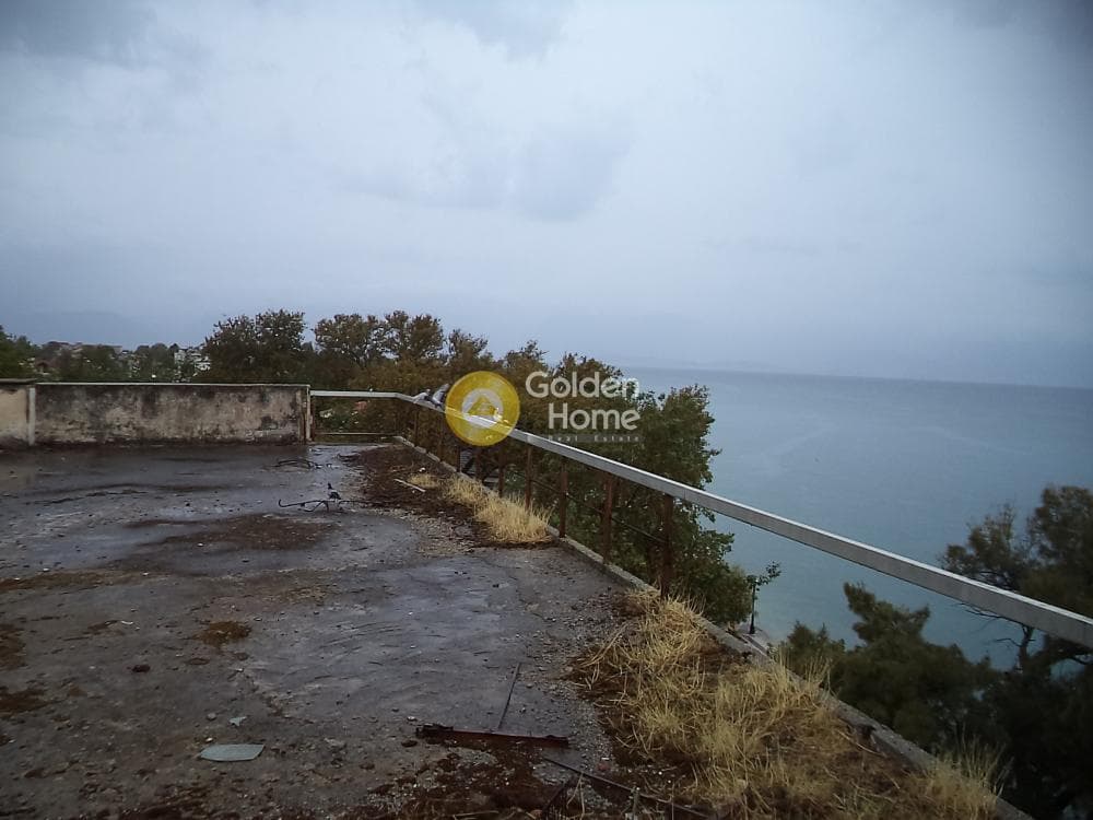 Ξενοδοχείο στην Λόγγος, Ερίνεο — Φωτογραφία 4 από 15