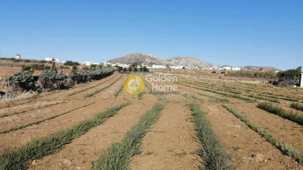 Parcel in Ano Sagkri, Naxos — Photo 1 of 4