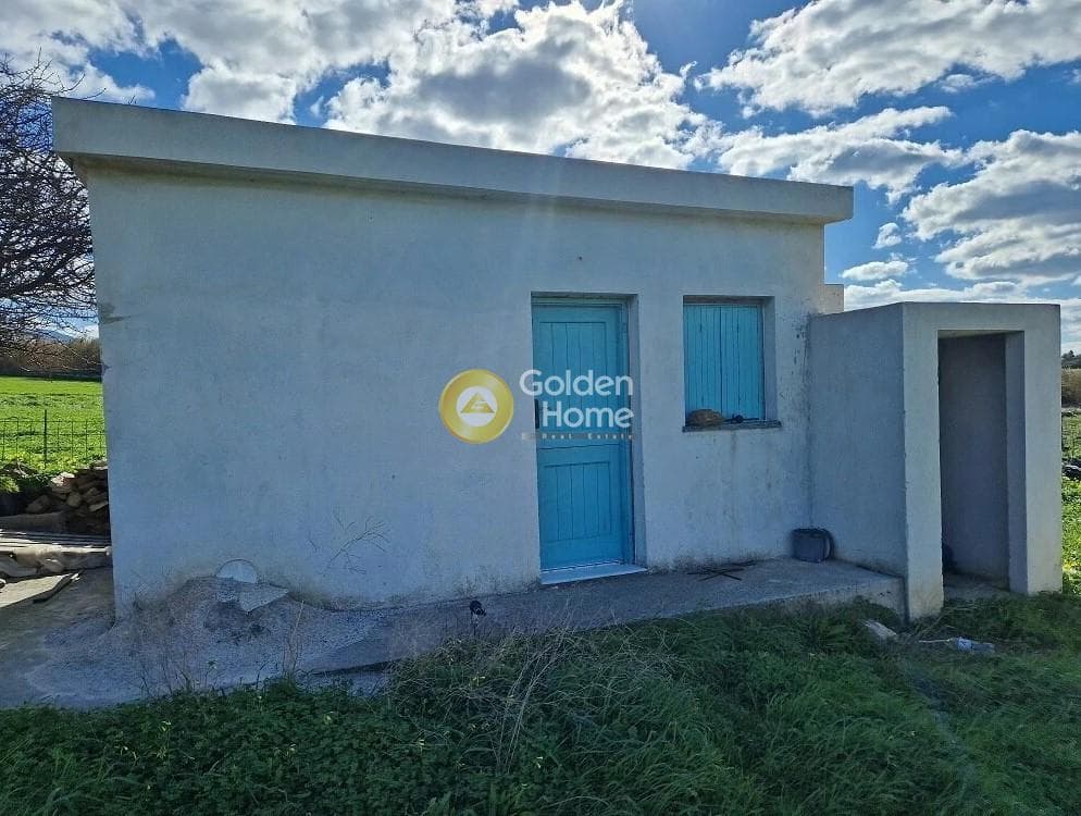 Parcel in Ano Sagkri, Naxos — Photo 4 of 4