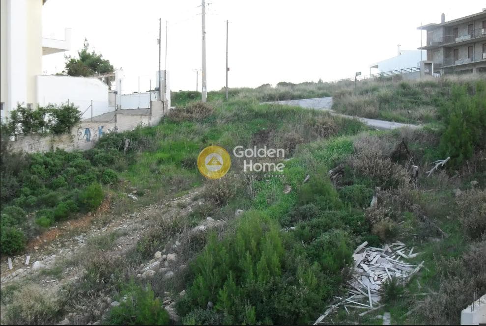 Building Plot in Neos Voutzas, Rafina — Photo 8 of 8