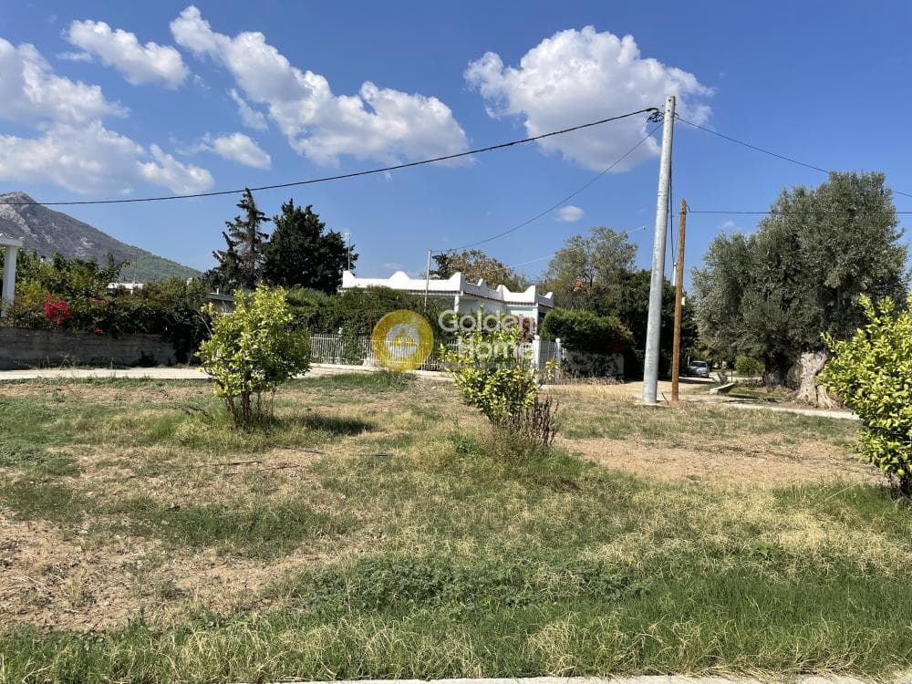 Μονοκατοικία στην Ζούμπερι, Νέα Μάκρη — Φωτογραφία 20 από 34