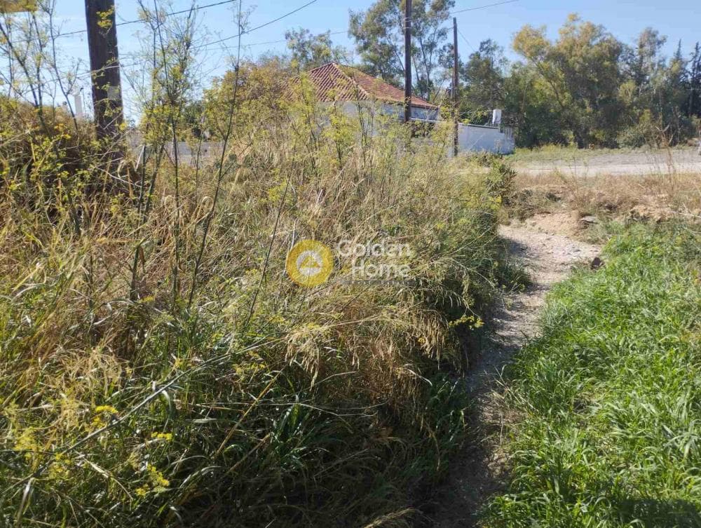 Building Plot in Megala Sxoinia A, Acharnes — Photo 4 of 8