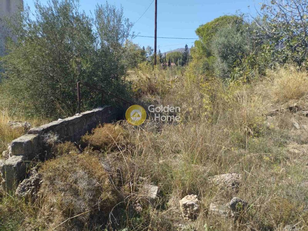 Building Plot in Megala Sxoinia A, Acharnes — Photo 6 of 8
