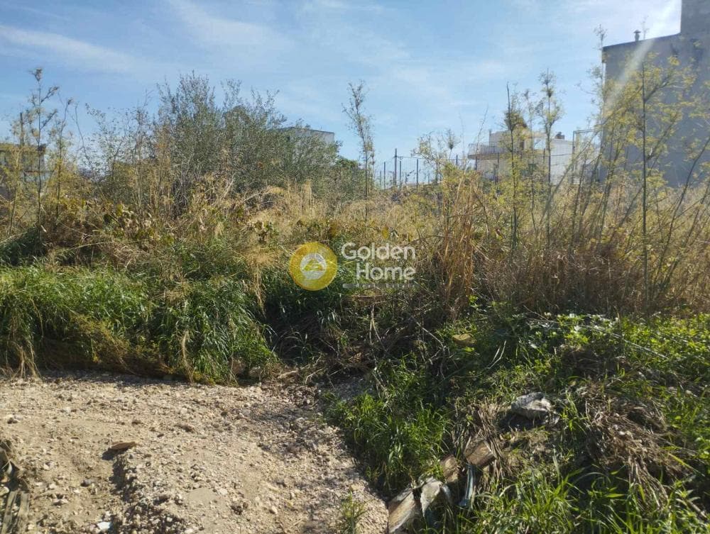 Building Plot in Megala Sxoinia A, Acharnes — Photo 2 of 8