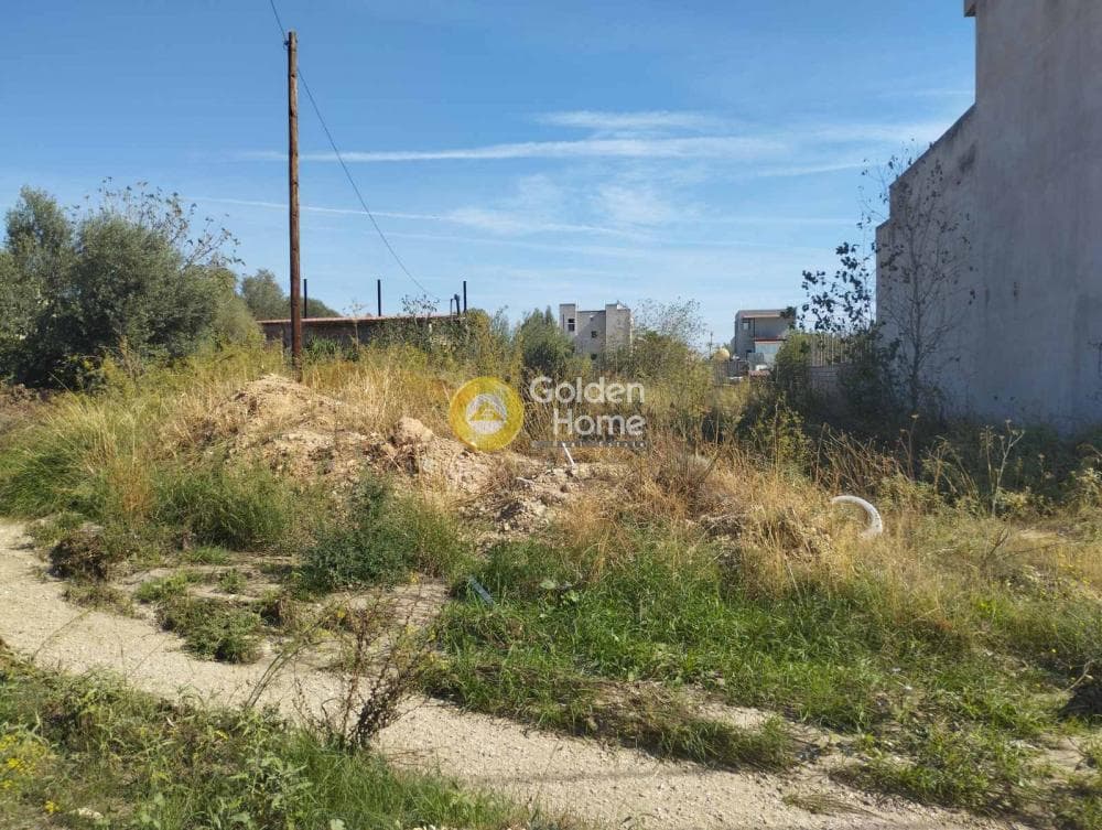 Building Plot in Megala Sxoinia A, Acharnes — Photo 1 of 8