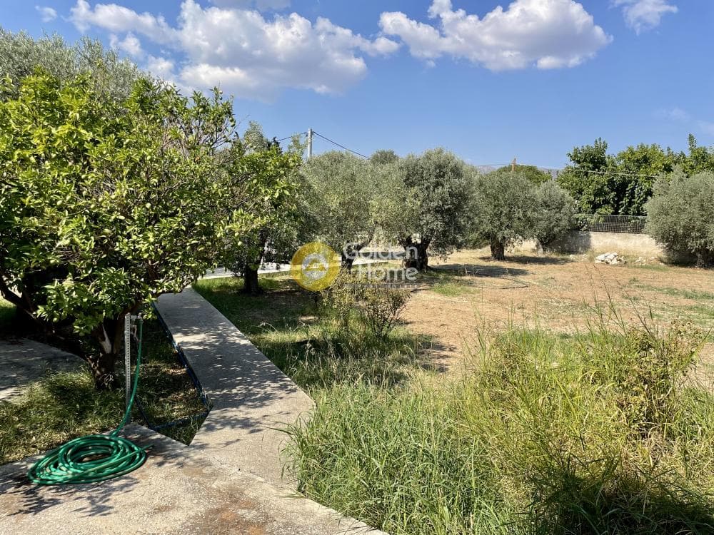 Οικόπεδο στην Άγιος Παντελεήμονας, Νέα Μάκρη — Φωτογραφία 2 από 11