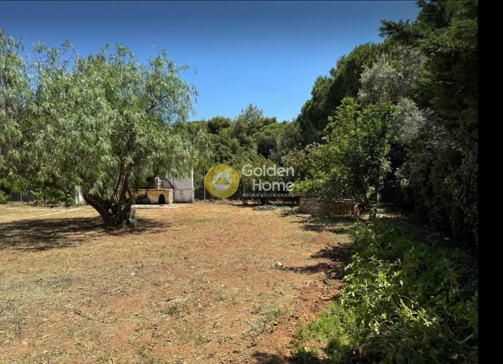 House in Agios Panteleimonas, Nea Makri — Photo 18 of 26