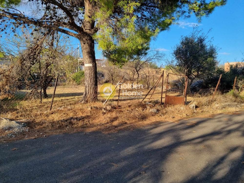 Building Plot in Nea Pallini, Pallini — Photo 2 of 3