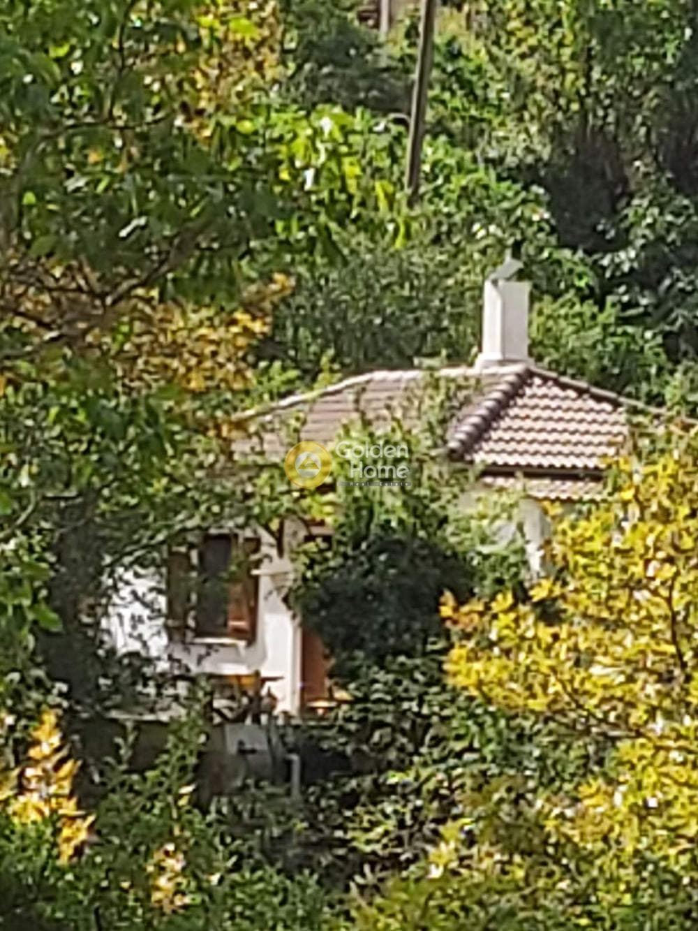 House in Kato Zachlorou, Kalavrita — Photo 54 of 55