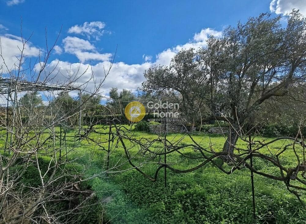 Οικόπεδο στην Κάτω Σαγκρί, Νάξος — Φωτογραφία 1 από 4