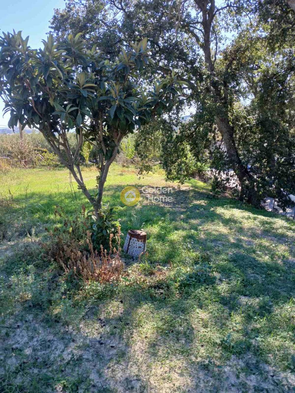 Οικόπεδο στην Κερασιά, Τετραχώρι — Φωτογραφία 1 από 2