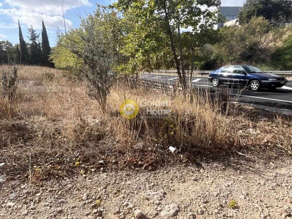 Αγροτεμάχιο στην Κοσμοθέα, Αφίδνες — Φωτογραφία 7 από 11
