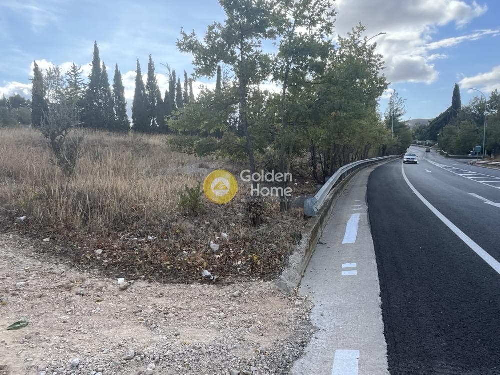 Αγροτεμάχιο στην Κοσμοθέα, Αφίδνες — Φωτογραφία 1 από 11