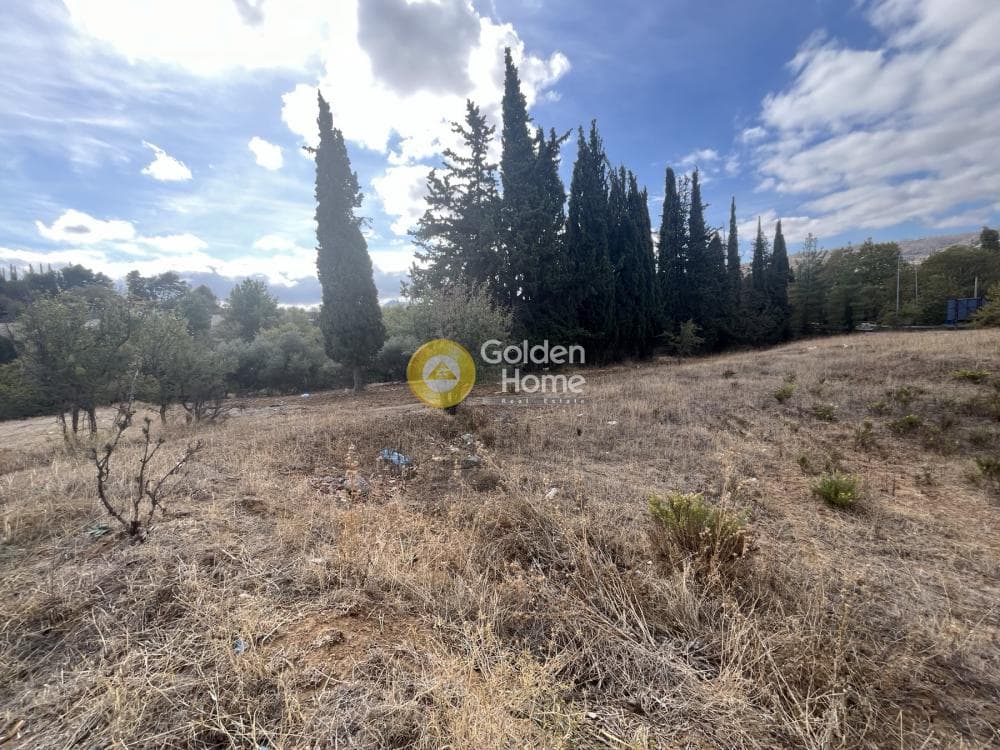 Αγροτεμάχιο στην Κοσμοθέα, Αφίδνες — Φωτογραφία 11 από 11
