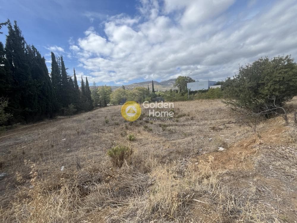 Αγροτεμάχιο στην Κοσμοθέα, Αφίδνες — Φωτογραφία 10 από 11