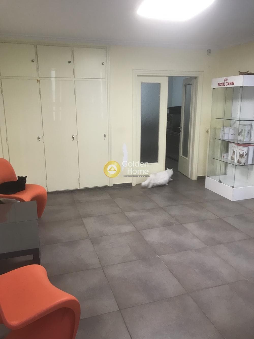 Διαμέρισμα στην Ελληνορώσων, Γουδή — Φωτογραφία 2 από 8