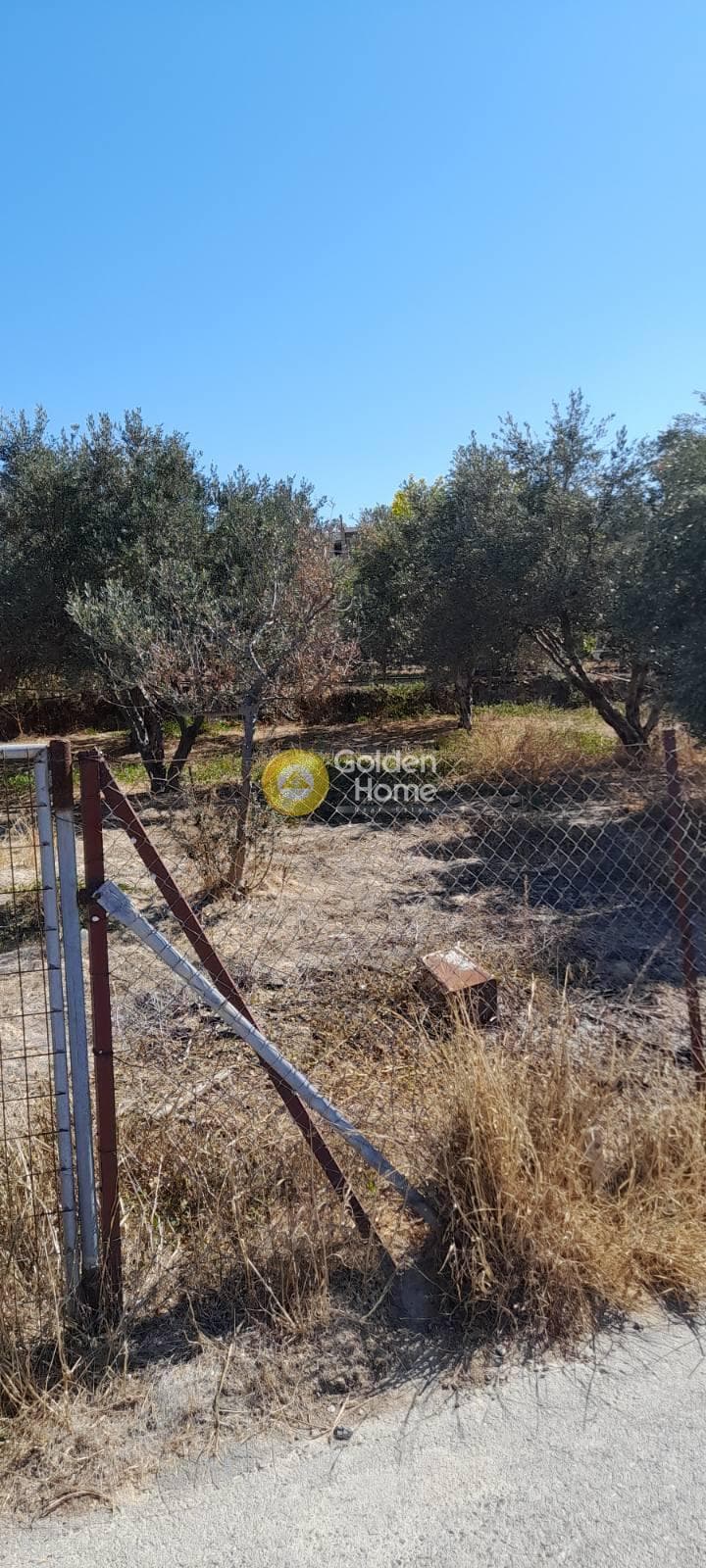 Building Plot in Elia, Episkopi