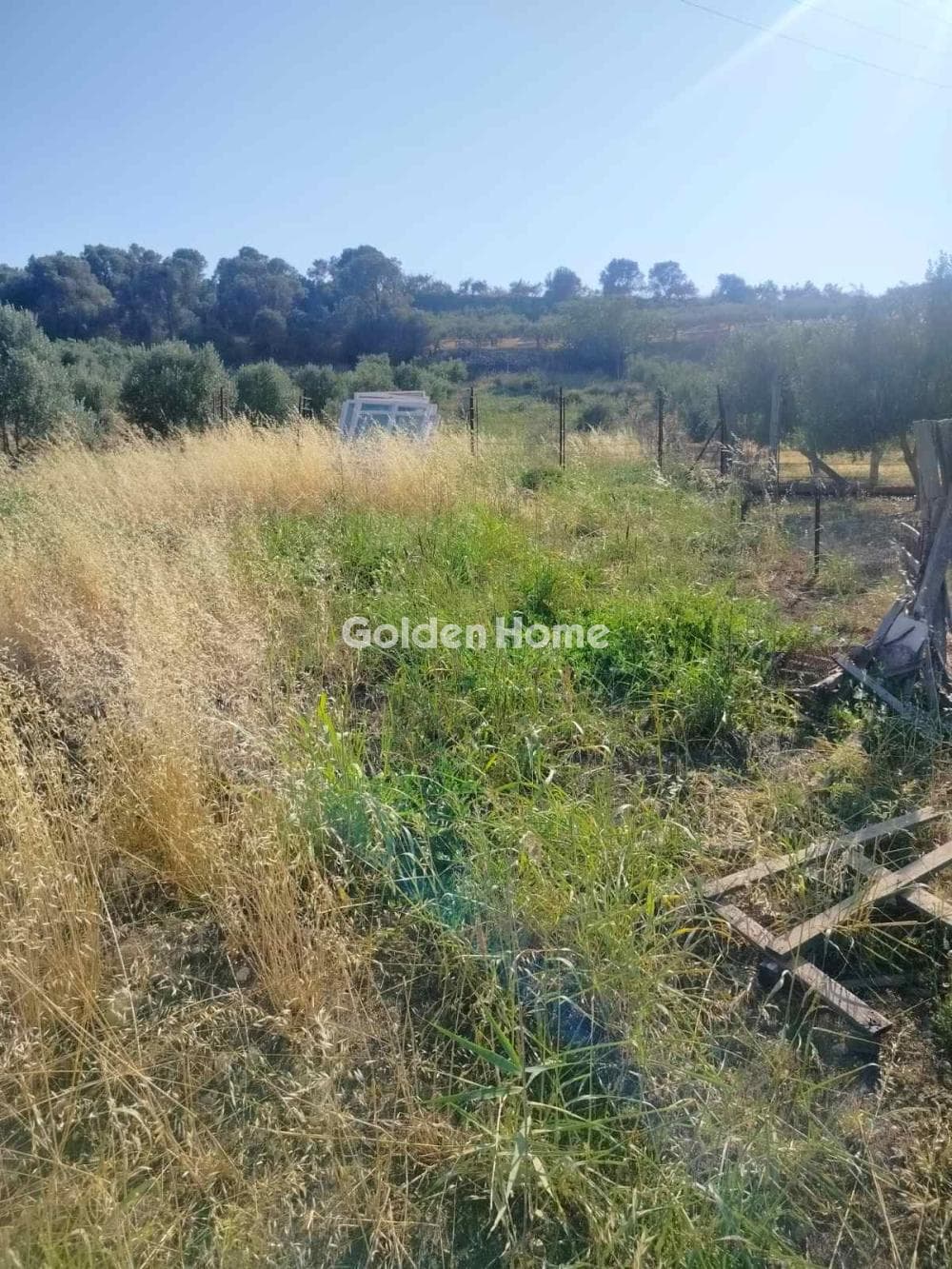 Parcel in Kollivas, Gazi — Photo 2 of 3