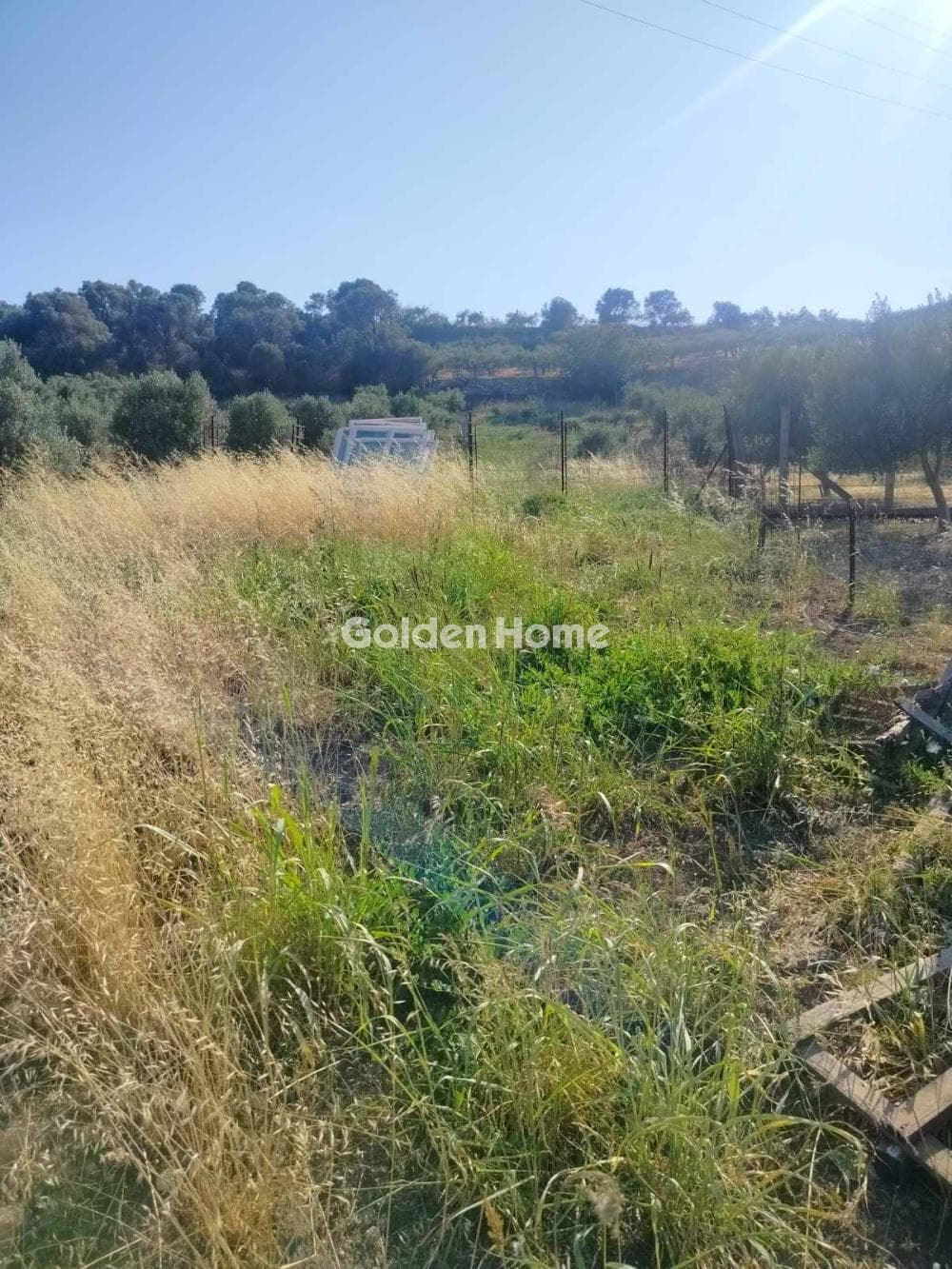 Parcel in Kollivas, Gazi — Photo 3 of 3