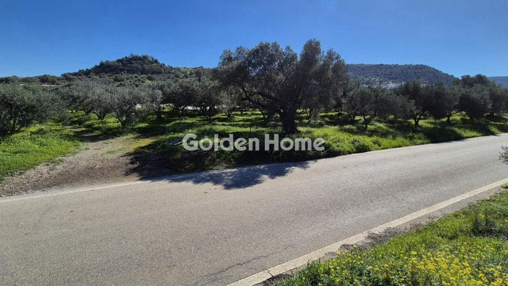 Building Plot in Kouses, Moires — Photo 12 of 14