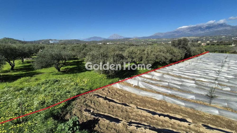 Building Plot in Kouses, Moires — Photo 11 of 14