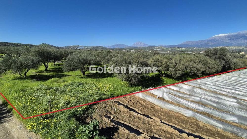 Building Plot in Kouses, Moires — Photo 10 of 14