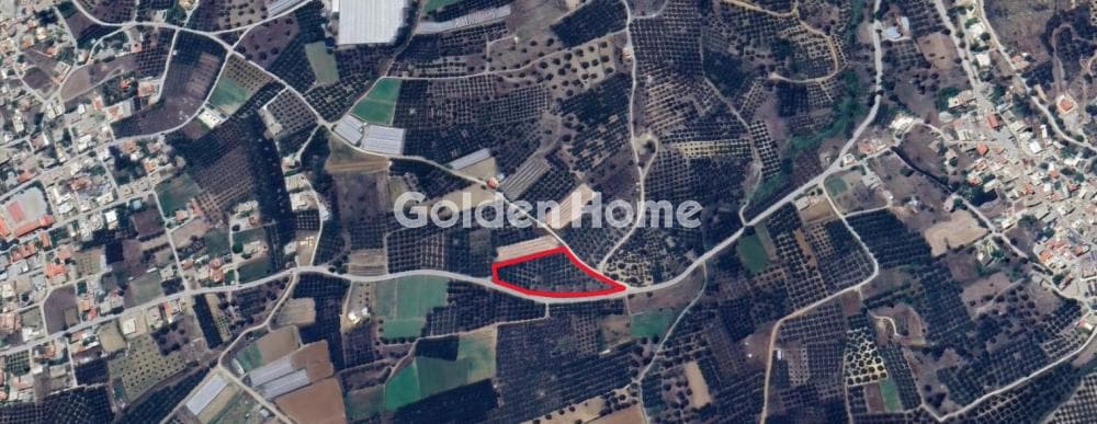 Building Plot in Kouses, Moires — Photo 14 of 14