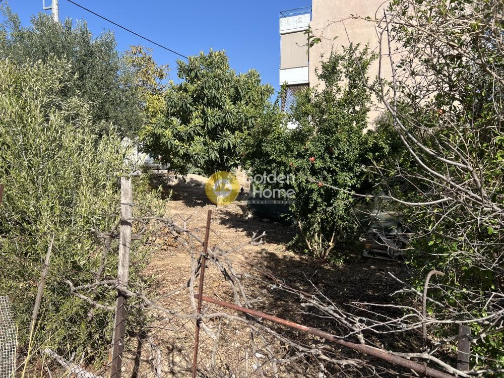 Building Plot in Megala Sxoinia A, Acharnes