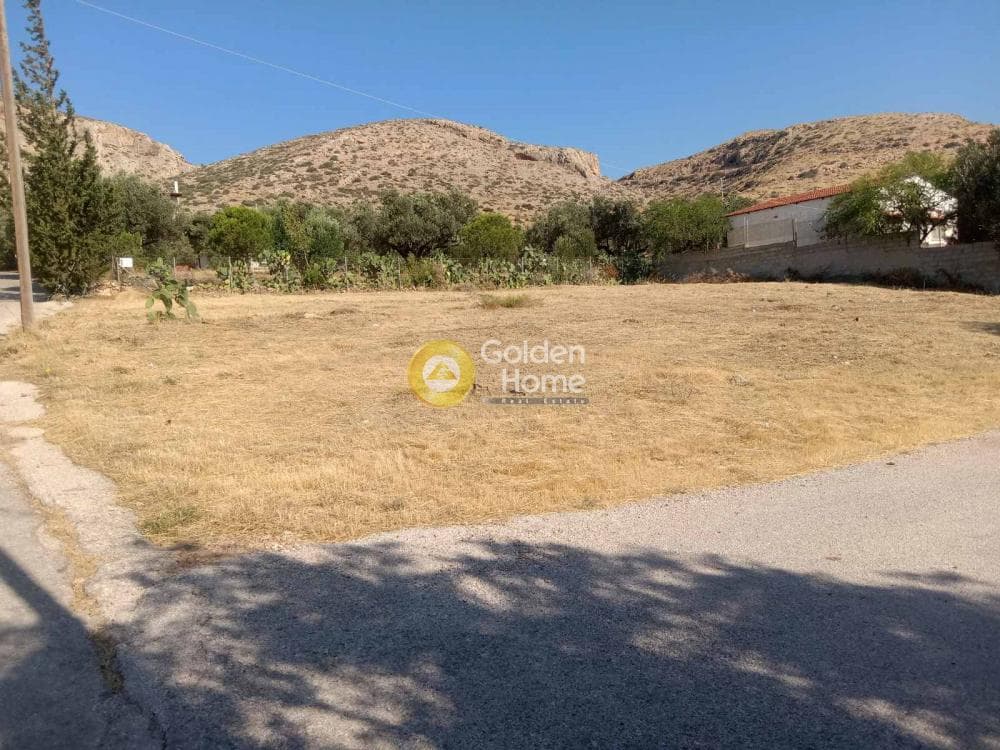 Αγροτεμάχιο στην Ελαιώνας, Ανάβυσσος — Φωτογραφία 3 από 3