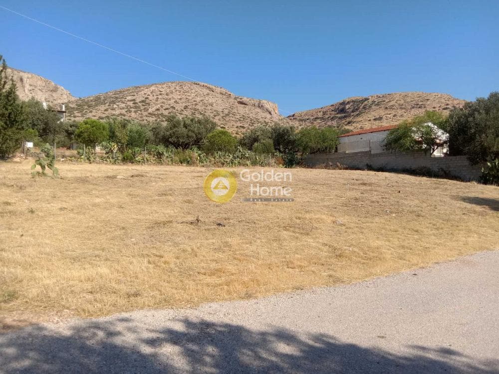 Αγροτεμάχιο στην Ελαιώνας, Ανάβυσσος — Φωτογραφία 2 από 3