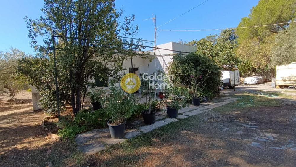 Parcel in Megala Sxoinia A, Acharnes — Photo 1 of 12
