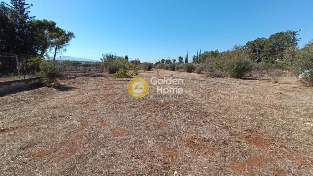 Parcel in Megala Sxoinia A, Acharnes — Photo 4 of 12