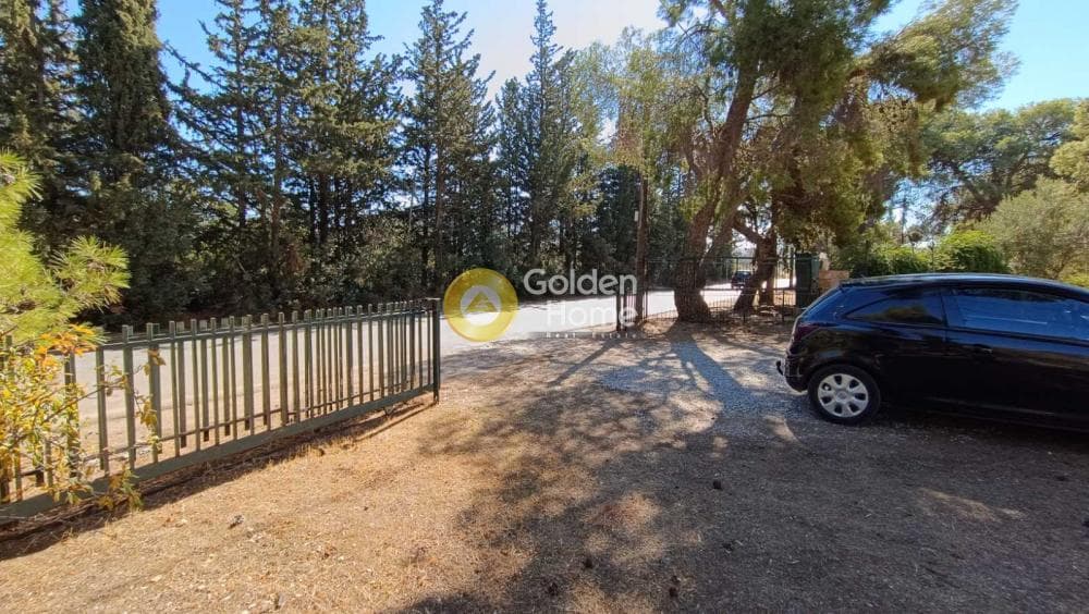 Parcel in Megala Sxoinia A, Acharnes — Photo 5 of 12