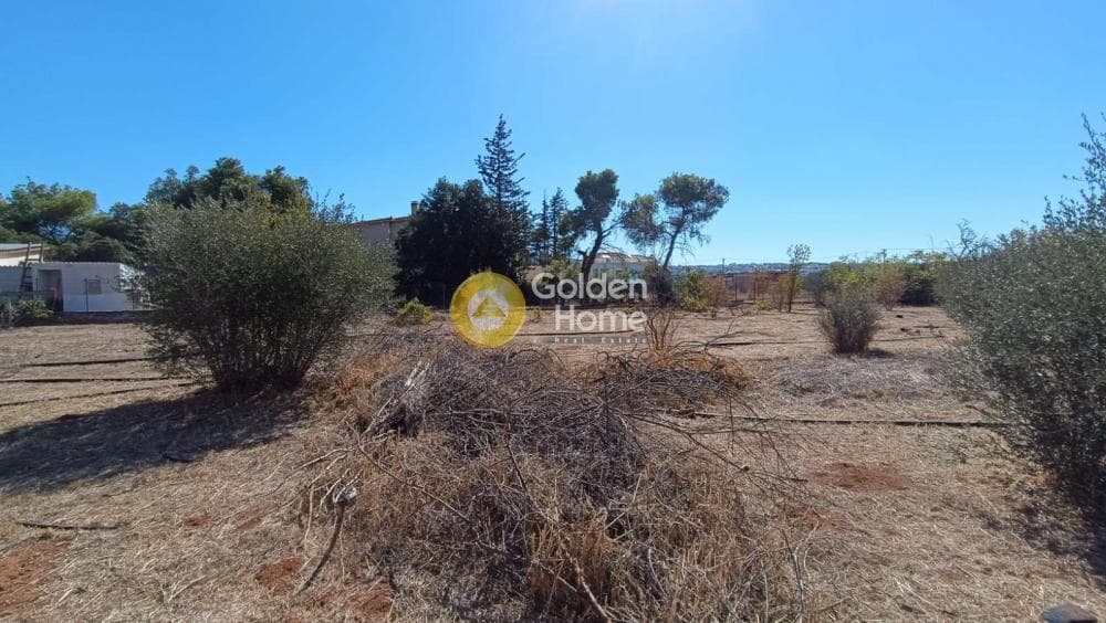 Parcel in Megala Sxoinia A, Acharnes — Photo 10 of 12