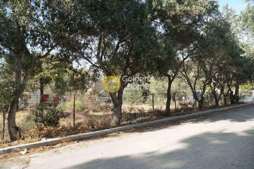 Building Plot in Selinia, Salamina — Photo 4 of 5