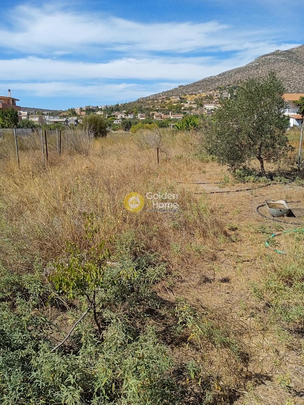 Αγροτεμάχιο στην Ανάβυσσος Κέντρο, Ανάβυσσος — Φωτογραφία 1 από 2