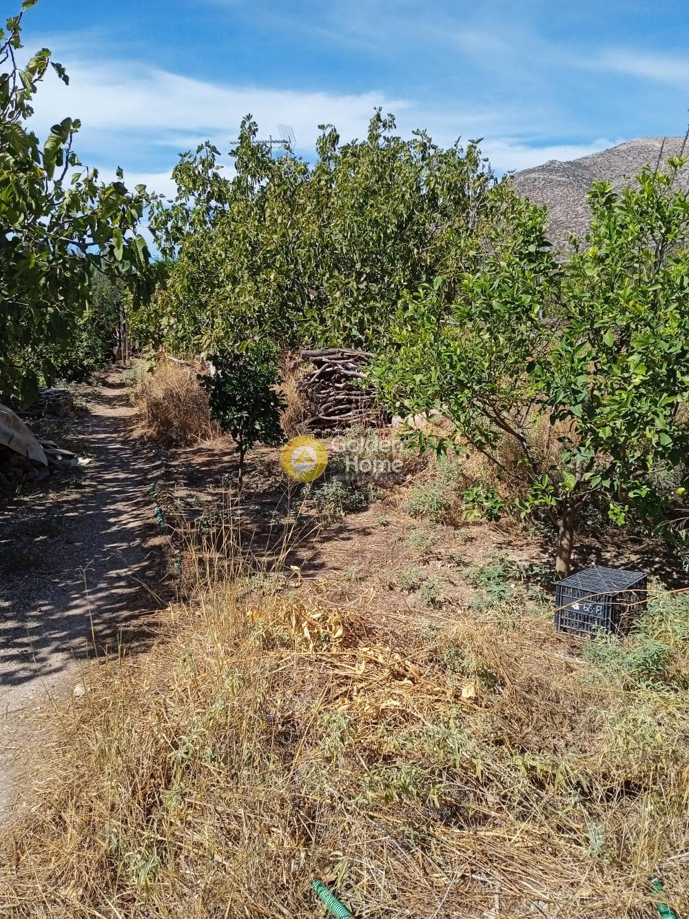 Μονοκατοικία στην Ανάβυσσος Κέντρο, Ανάβυσσος — Φωτογραφία 3 από 5