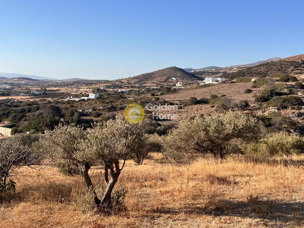 Αγροτεμάχιο στην Ιστέρνι, Πάρος — Φωτογραφία 7 από 8