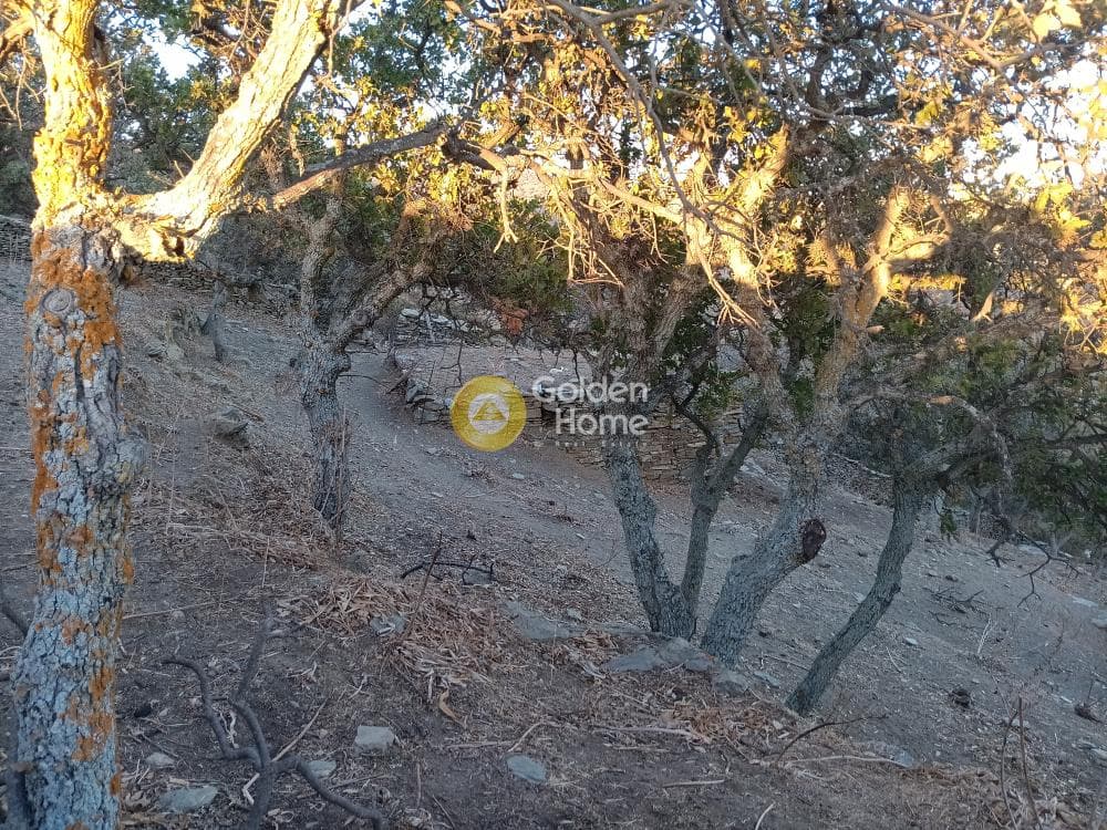 Αγροτεμάχιο στην Άγιος Νικόλαος Νύχι, Κέα — Φωτογραφία 2 από 8