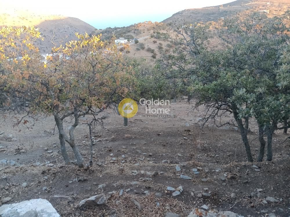 Αγροτεμάχιο στην Άγιος Νικόλαος Νύχι, Κέα — Φωτογραφία 4 από 8