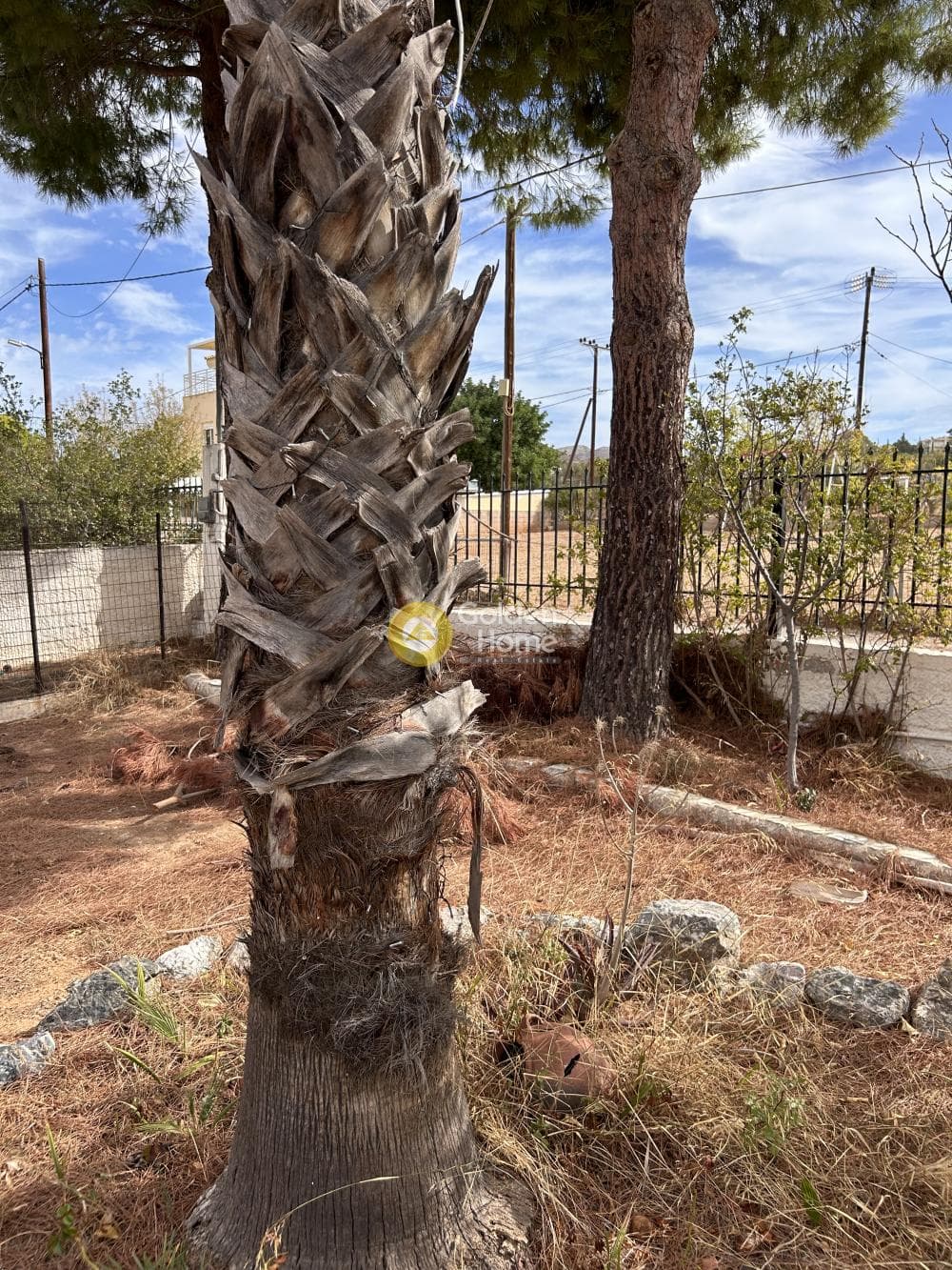 House in ATE, Anavissos — Photo 20 of 20