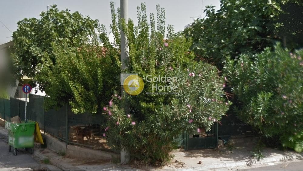 Μονοκατοικία στην Κέντρο, Μεταμόρφωση