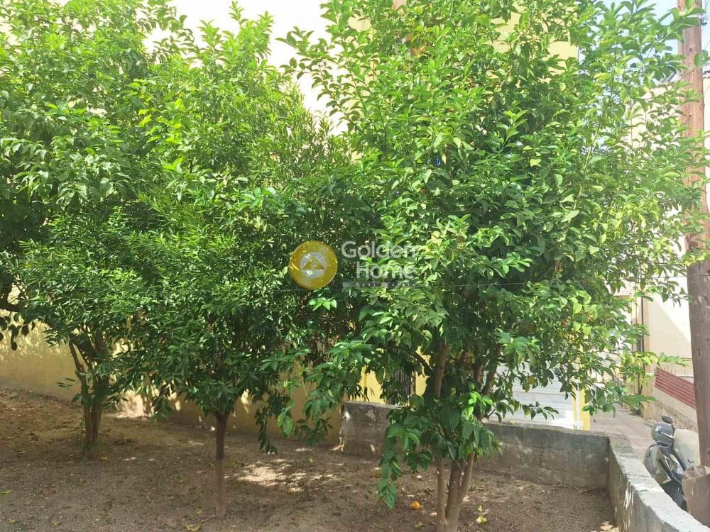 Οικόπεδο στην Καναπίτσα, Μεταμόρφωση — Φωτογραφία 1 από 4