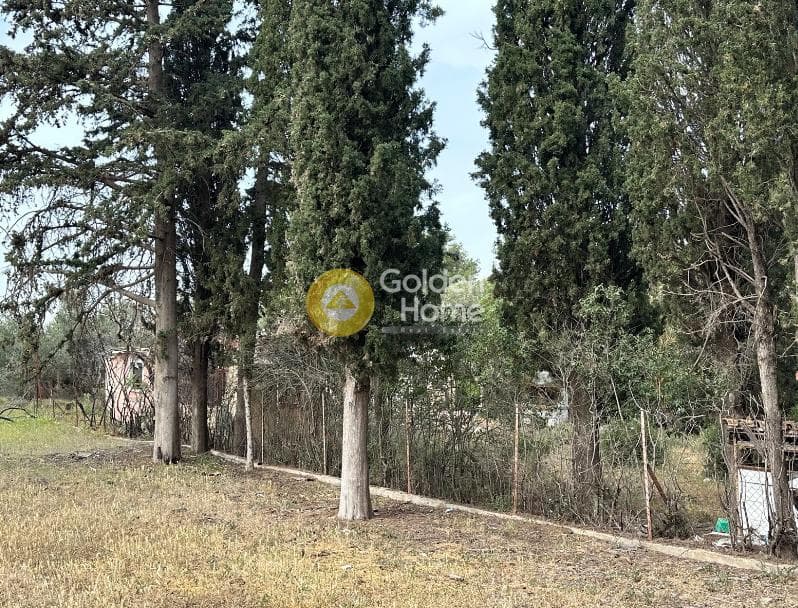 Οικόπεδο στην Αδάμες (Οικισμός Γράμμος - Φοίνικας), Κηφισιά — Φωτογραφία 3 από 3