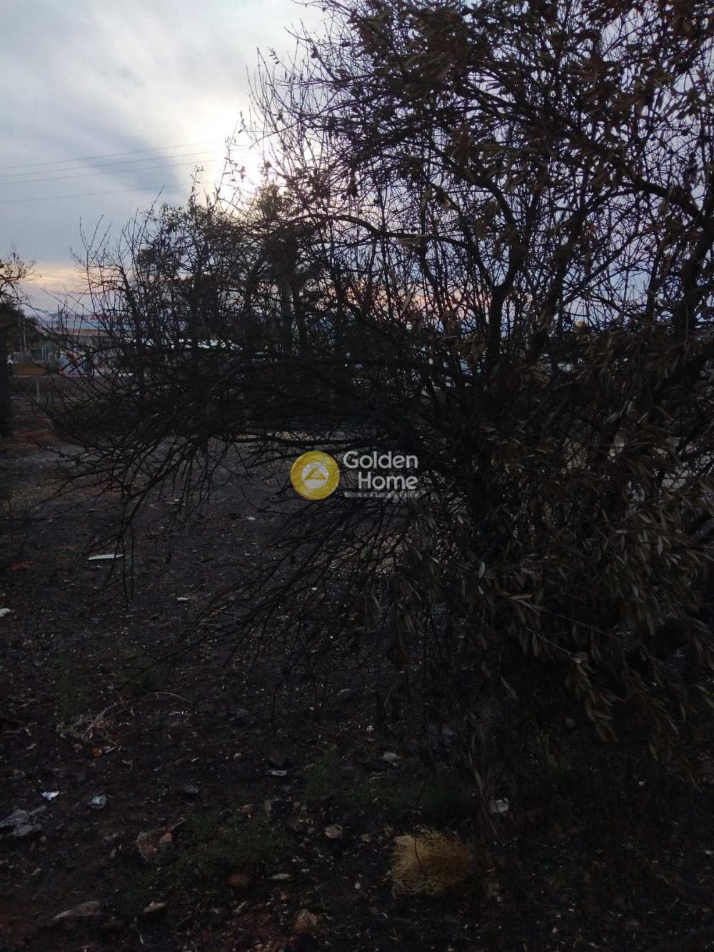 Parcel in Patima, Chalandri — Photo 4 of 11