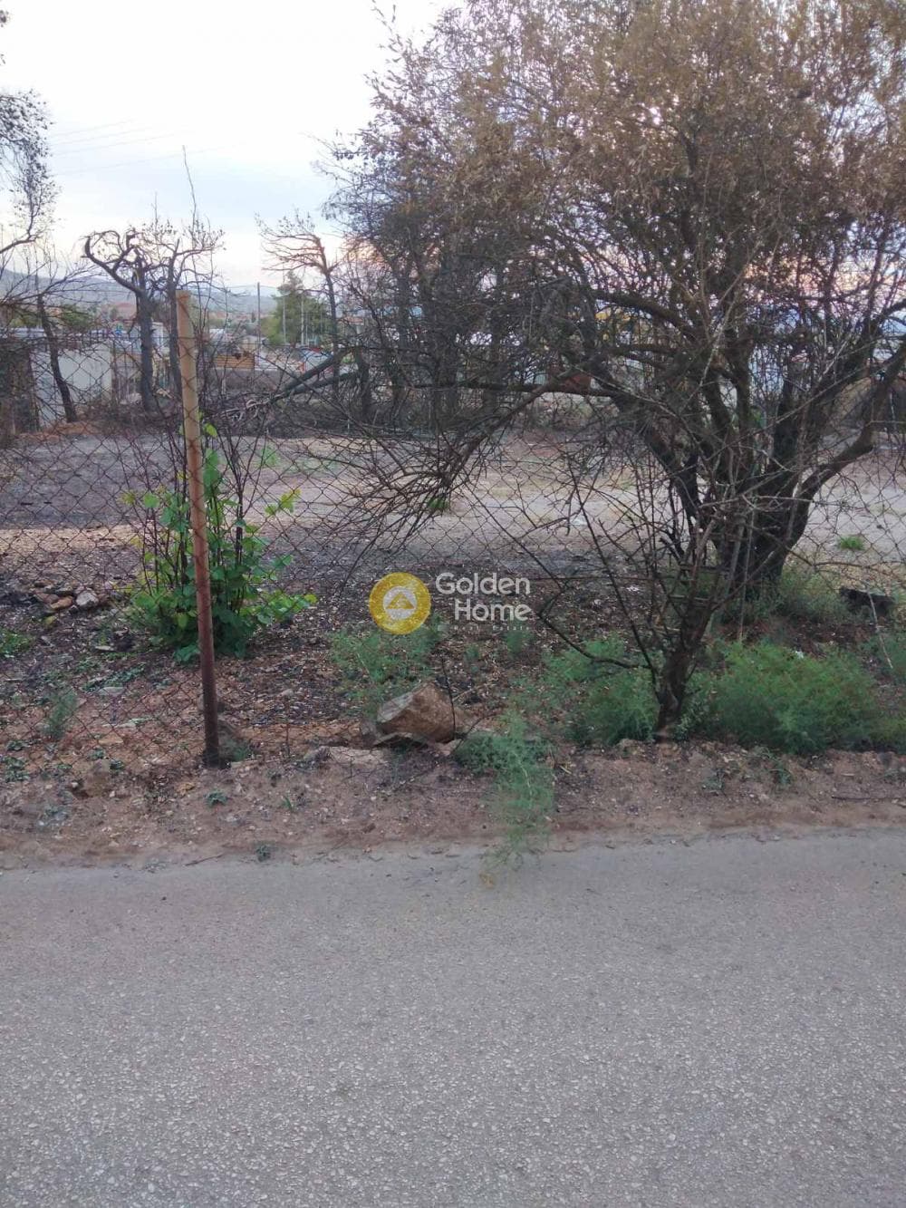 Parcel in Patima, Chalandri — Photo 10 of 11